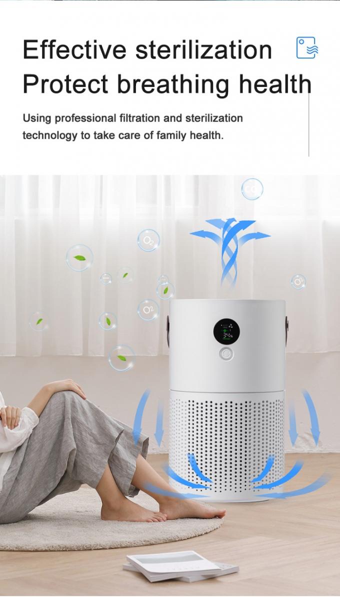 HOMEFISH Fumo Pm2.5 Íon Negativo Limpador de Escritório Limpador de Ar 5