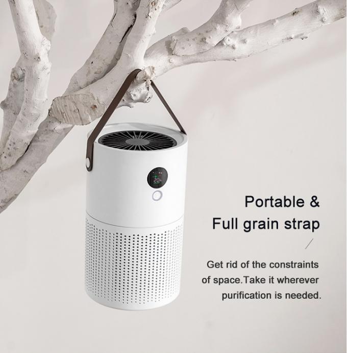 HOMEFISH Fumo Pm2.5 Íon Negativo Limpador de Escritório Limpador de Ar 6