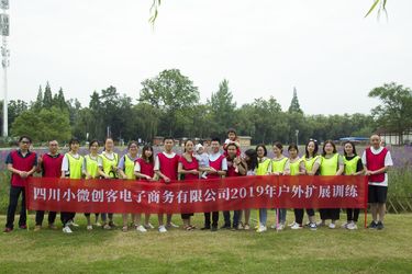 China Sichuan Small Minimally Invasive Passenger Ecommerce Ltd. Perfil da empresa